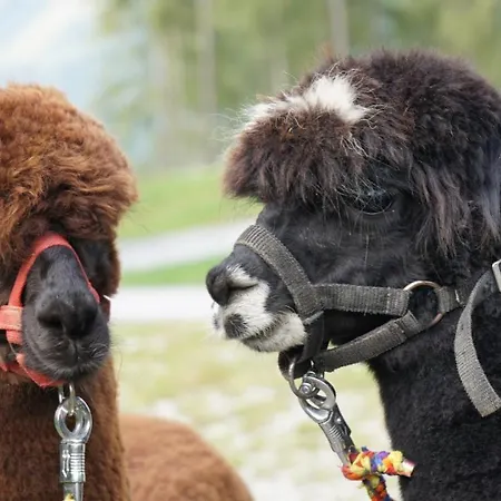 Hotel Alpensportlodge Altenmarkt im Pongau
