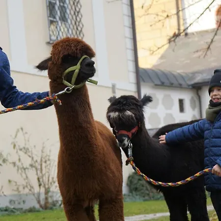Alpensportlodge Altenmarkt im Pongau