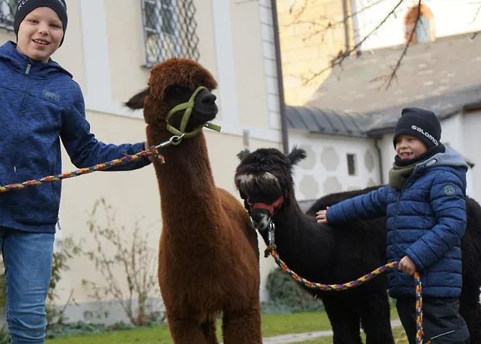 Alpensportlodge Altenmarkt im Pongau